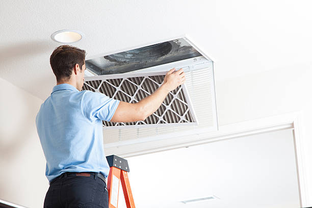 Best Ductless HVAC repair  in Mount Vernon, TX